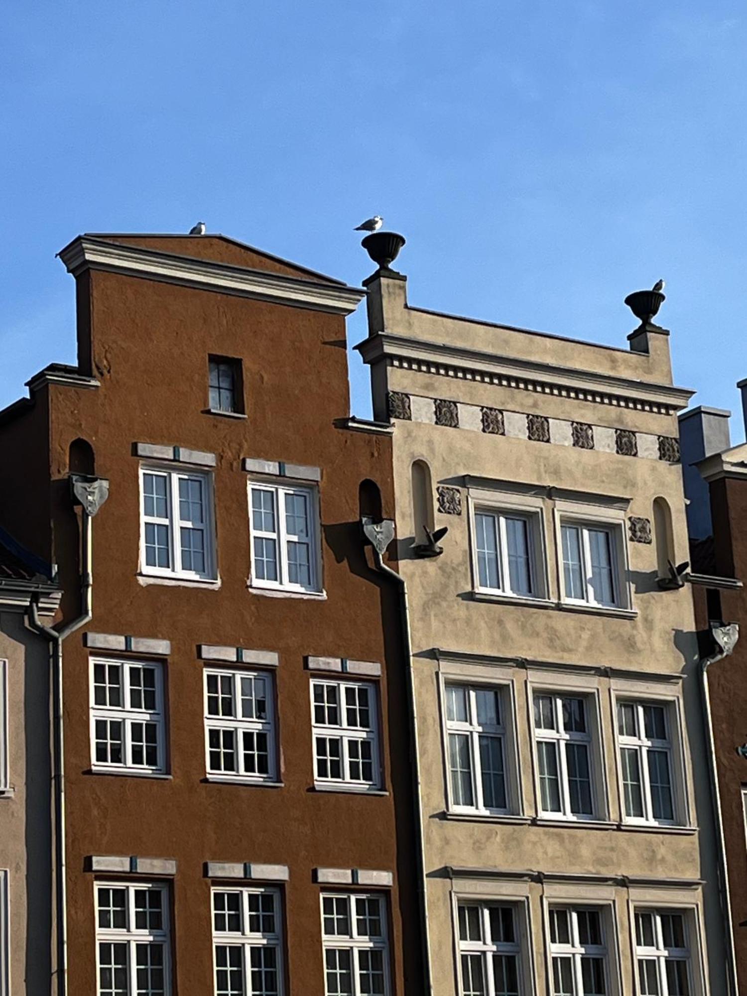 Grand Apartment - Old Town & City Center Gdańsk Eksteriør bilde